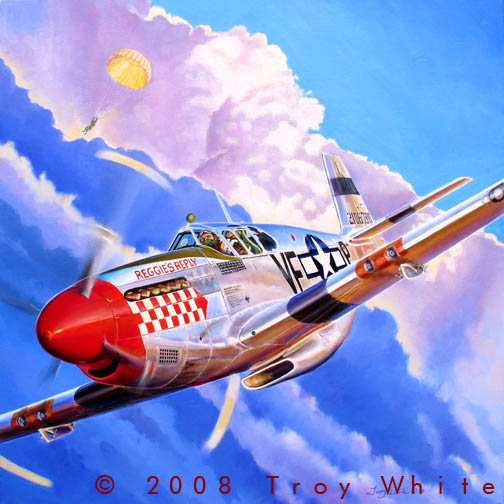Triple Ace Johnny Godfrey 4th Fighter Group WWII P-51 Mustang 